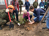Усть-Уда присоединилась ко Всероссийской акции "День посадки леса"