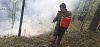 Добровольцы Бодайбинского ДПК локализовали пожар в лесу