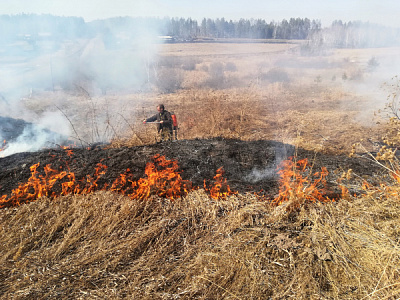 Два пала сухой травы ликвидировали в Ухтуйском МО Зиминского района в майские праздники