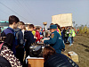 Под Иркутском высадили более 40 тысяч сосен