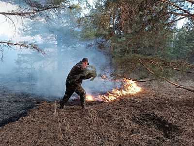 Добровольцы Юголока остановили ландшафтный пожар