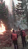 Пожарные добровольцы и жители села Николаевка отстояли деревню от огня