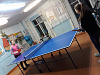 Соревнования по настольному теннису в Мусковитской школе