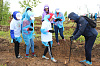 Волонтеры посадили новый лес в Гороховском лесничестве 