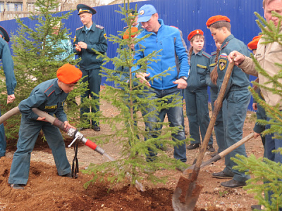 Акция по посадке деревьев возле ПЧ-26 г. Братска