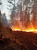 Лесной пожар вблизи населенных пунктов Буря и Кундулун локализован