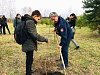 Саянское ВДПО поддержало эколого-патриотический проект «Лес Победы»