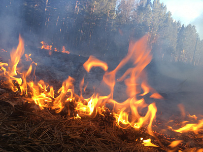В Гуранском сельском поселении активное участие в тушении пожаров принимают добровольцы