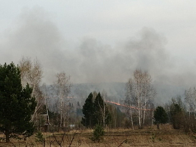 Добровольные пожарные Тайшетского района участвуют в локализации пожаров