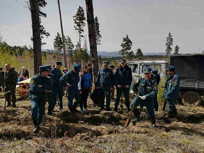 Всероссийский день посадки леса 