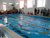 Соревнования по плаванию, посвященные тренеру М.Г. Курносовой