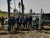 Всероссийский день посадки леса 