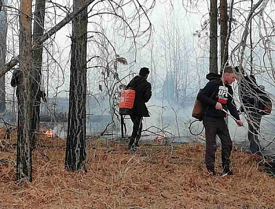 Добровольцы Веренского и Холмогойского МО тушат пожары