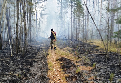 Возле деревни Чичкова борются с лесным пожаром