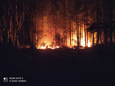 Местные жители сдерживают огонь вблизи села Аносово