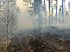 Лесной пожар вблизи населенных пунктов Буря и Кундулун локализован